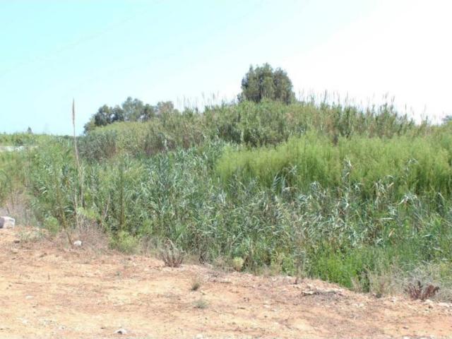 Terreno en Venta en Dénia