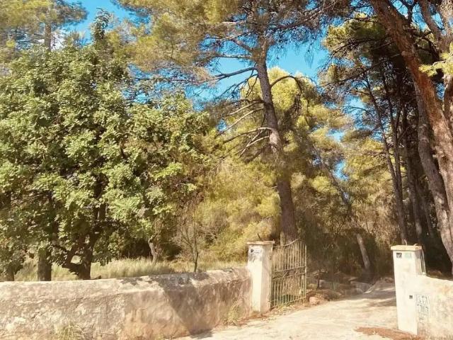 Terreno en Venta en Dénia