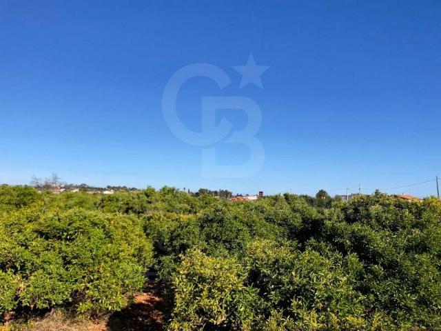 Terreno en Venta en Dénia