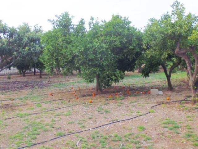 Terreno en Venta en Dénia
