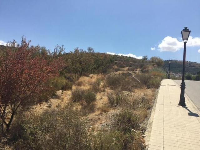 Terreno en venta en Dílar, Urbanización Cañadas del Parque