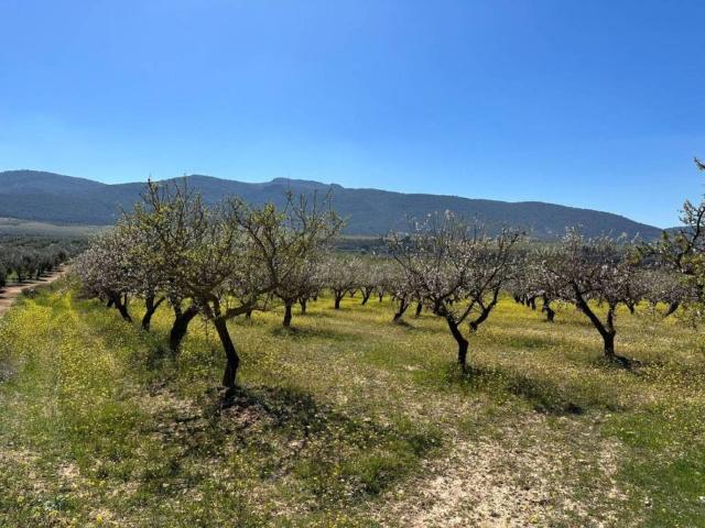 Terreno en Venta en Dílar