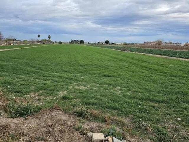 Terreno en Venta en Dolores