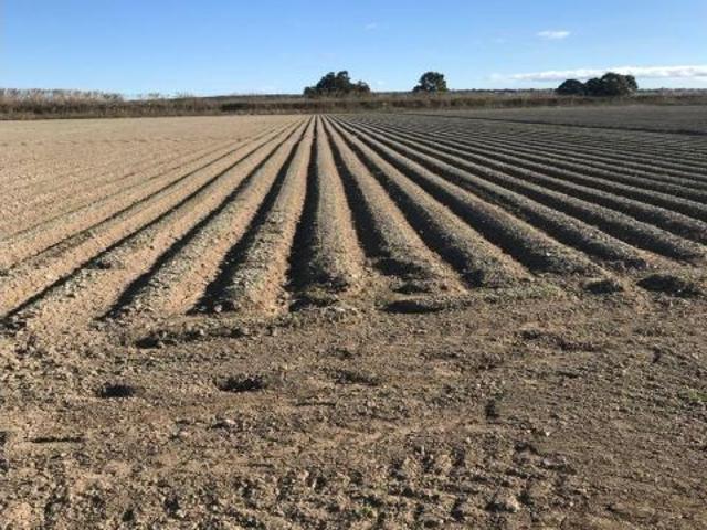 TERRENO EN VENTA EN DOLORES