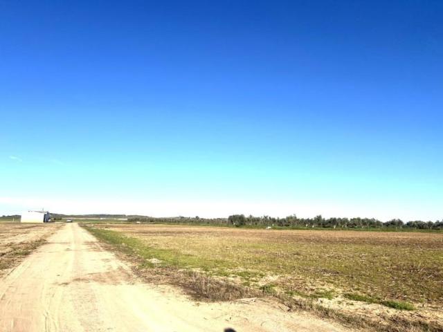Terreno en venta en Don Benito, Don benito