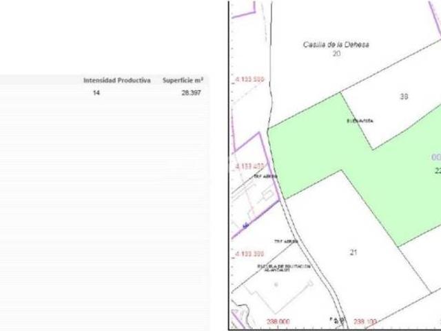 Terreno en Venta en Dos Hermanas