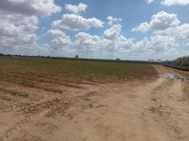 Terreno en Venta en Dos Hermanas