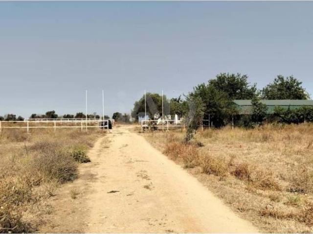 Terreno en Venta en Dos Hermanas