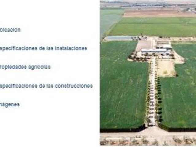 Terreno en Venta en Dos Hermanas