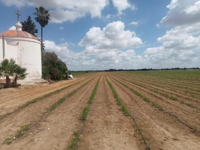 Terreno en venta en Dos Hermanas, La Hacienda Nueva Andalucía