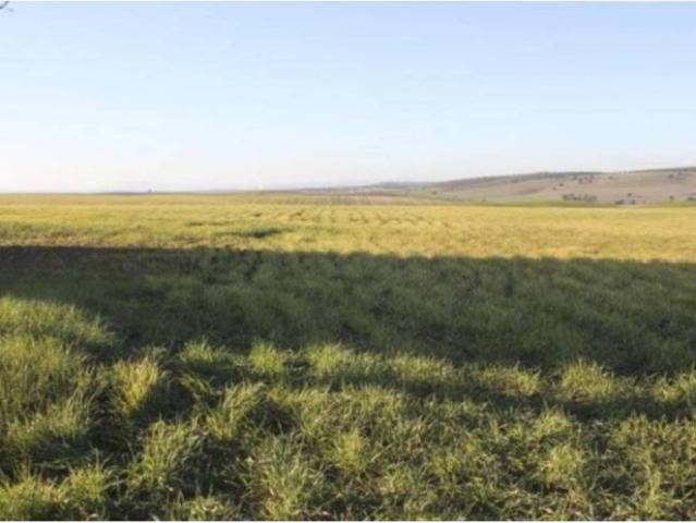 Terreno en Venta en Doñinos de Salamanca