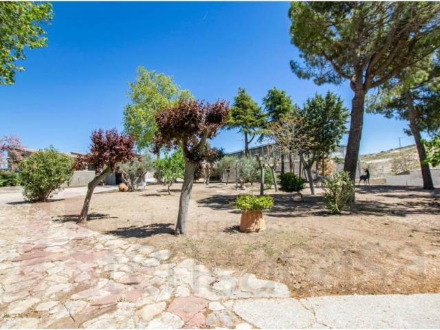 Terreno en Venta en Driebes