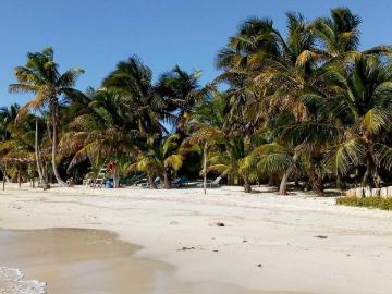 TERRENO EN VENTA EN EXCELENTE UBICACI?N DE MAHAHUAL, COSTA MAYA