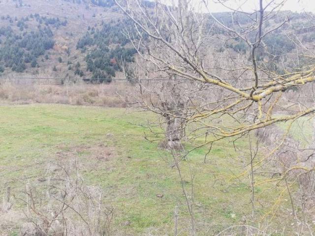 Terreno en Venta en Ezcaray