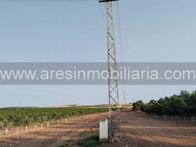 Terreno en venta en Écija, Carretera de Marchena