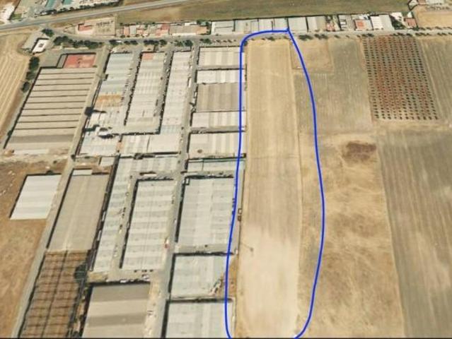 Terreno en venta en Écija, Écija