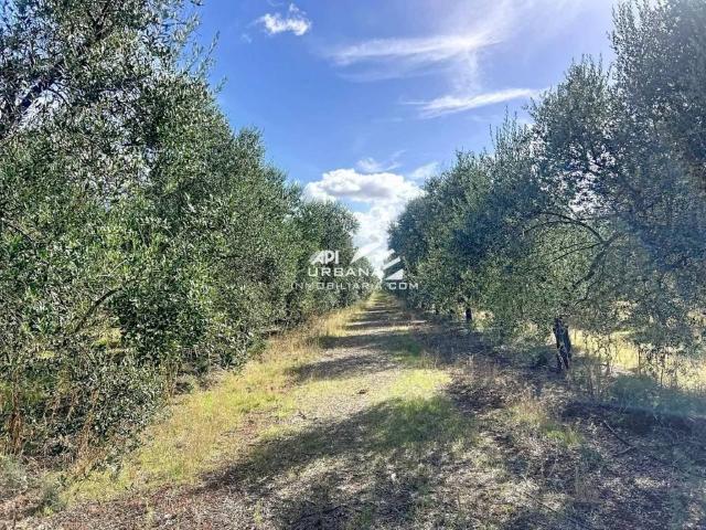 Terreno en Venta en Écija
