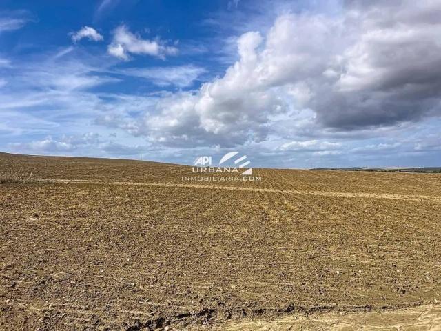 Terreno en Venta en Écija