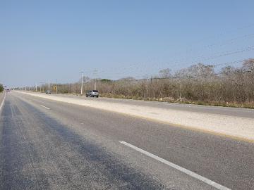 Terreno en venta en Edesio Carrillo, Motul, Yucatán
