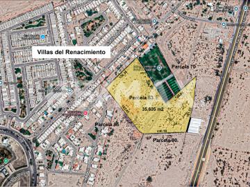 TERRENO EN VENTA EN EJIDO ALBIA