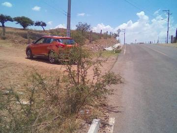TERRENO EN VENTA EN EJIDO LA TOMATINA