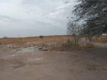 TERRENO EN VENTA EN EJIDO SAN LUIS TORREÓN, COAHUILA