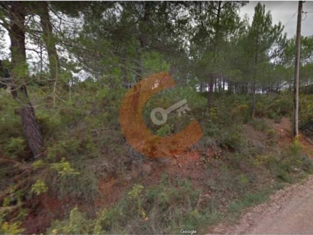 Terreno en Venta en El Montmell