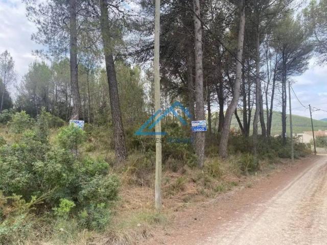 Terreno en Venta en El Montmell