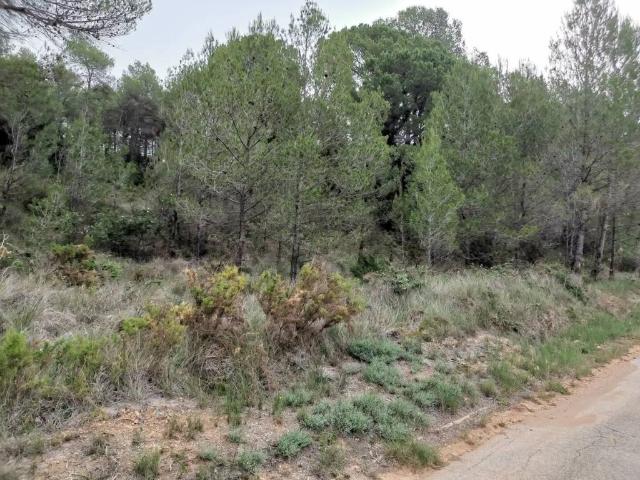 Terreno en Venta en El Montmell