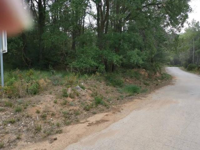 Terreno en Venta en El Montmell