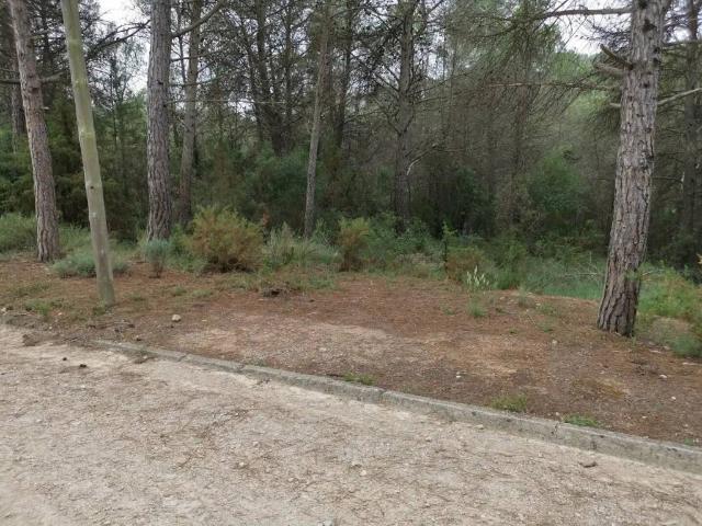 Terreno en Venta en El Montmell