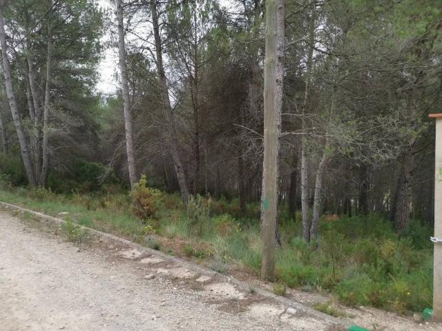 Terreno en Venta en El Montmell