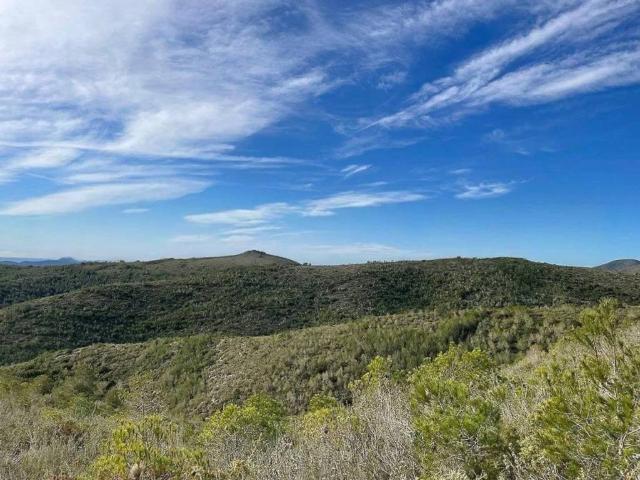 Terreno en Venta en El Montmell
