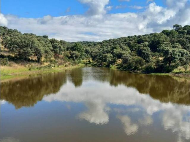 Terreno en Venta en El Álamo