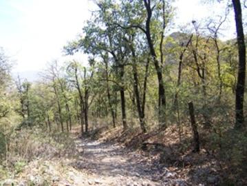 Terreno en Venta en El Barrial, Santiago, N.L. – 1251