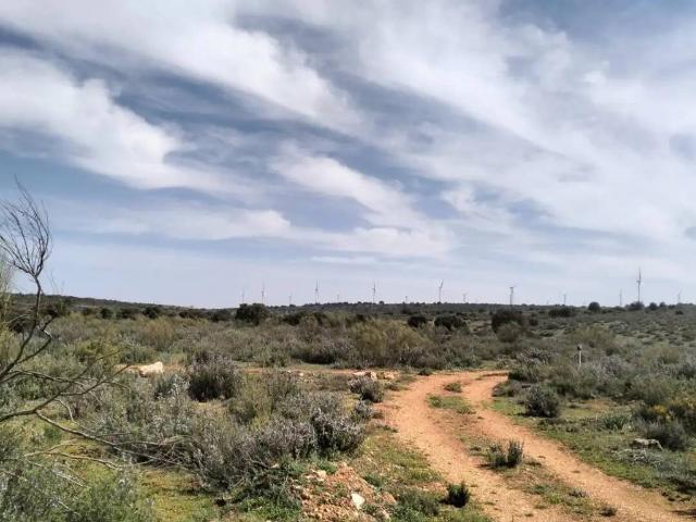 Terreno en Venta en El Bonillo