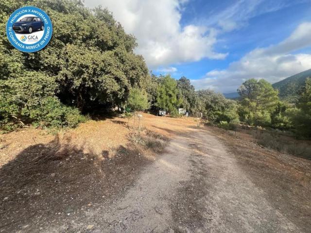 Terreno en venta en El Bosque, BOSQUE EL