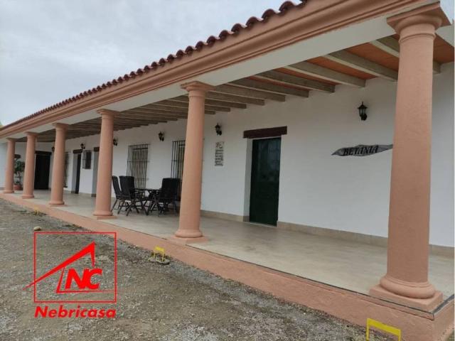 Terreno en Venta en El Cuervo de Sevilla