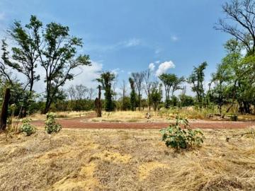 Terreno en Venta en el Carmen Atlixco, Puebla Camino a Nexatengo