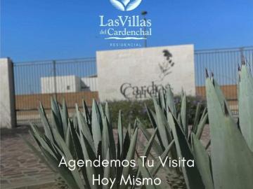 Terreno en venta en El Cardenchal, Torreón, Coahuila de Zaragoza
