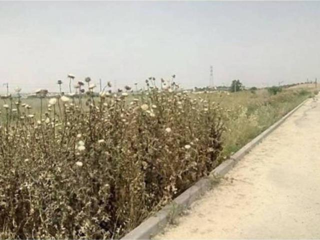 Terreno en Venta en El Carpio