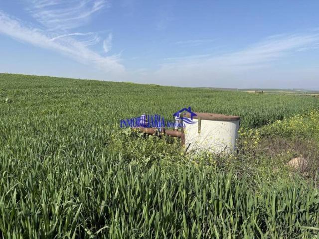 Terreno en Venta en El Carpio