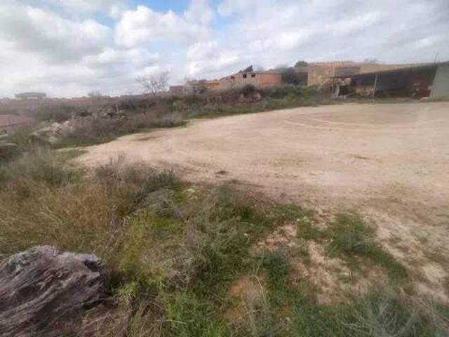 Terreno en Venta en El Cogul