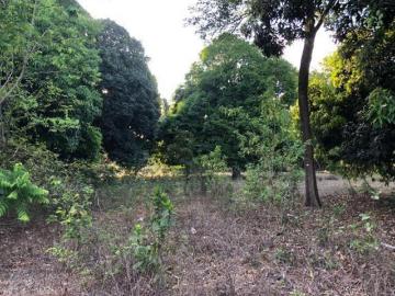 Terreno en Venta en El Copital, Medellín de Bravo, Veracruz de Ignacio de la Llave