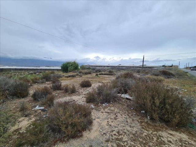 Terreno en Venta en El Ejido