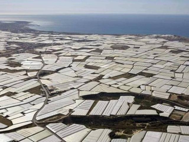 Terreno en Venta en El Ejido