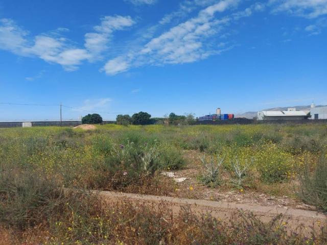 Terreno en Venta en El Ejido