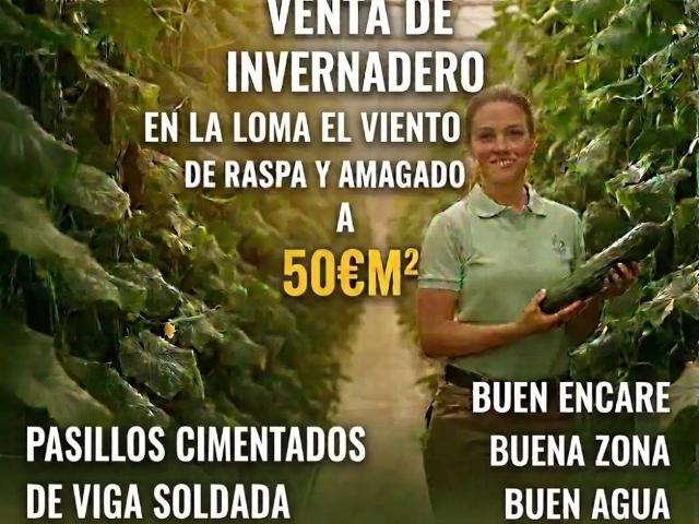 Terreno en Venta en El Ejido