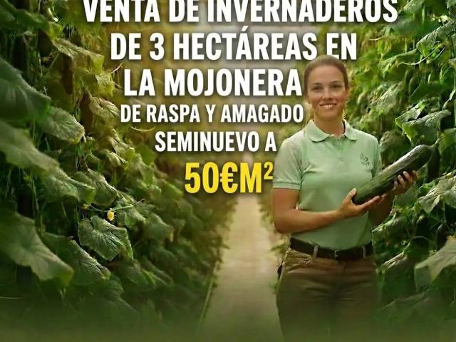 Terreno en Venta en El Ejido