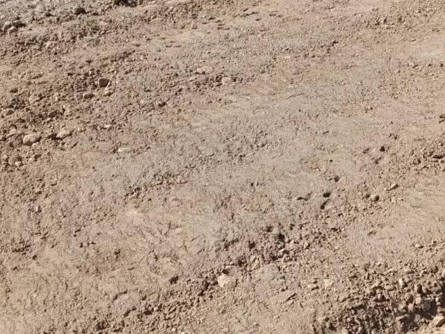 Terreno en Venta en El Ejido